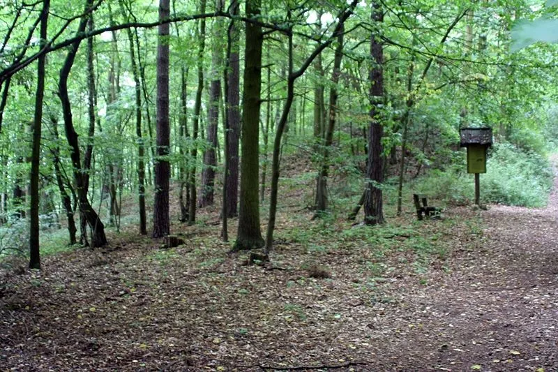 Am Burgwall