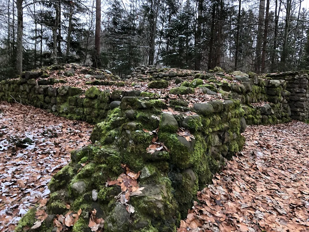 Mauerreste der Burg Heitnau bei Tobel TG im Winter