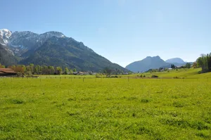 LSG Ortelbach im Gebiet der Gemeinde Bayerisch Gmain
