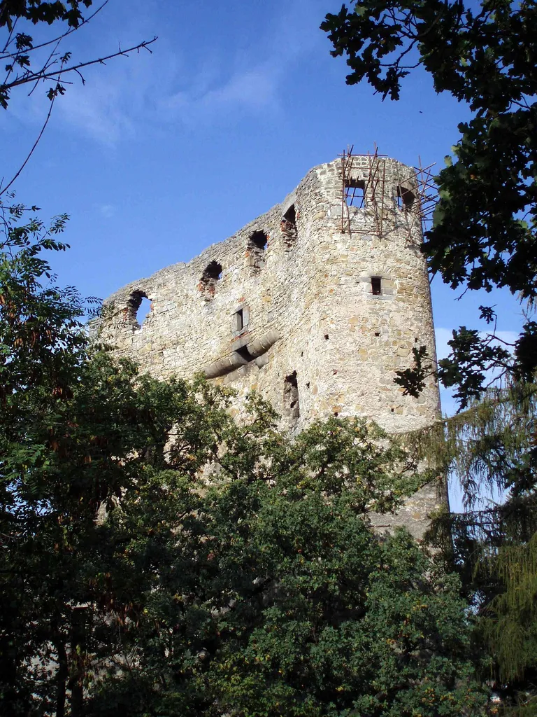 Burgruine Valecov