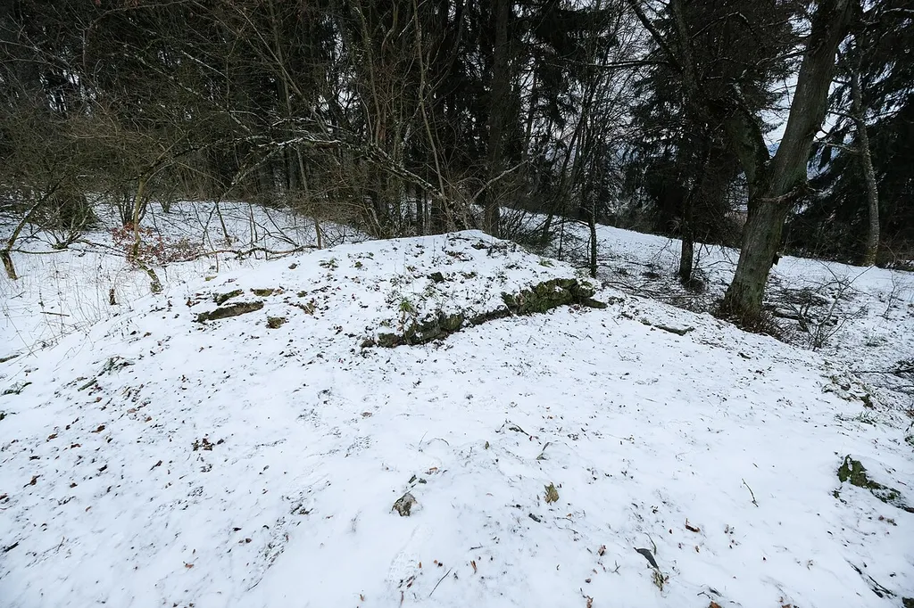 Ruine Warenburg