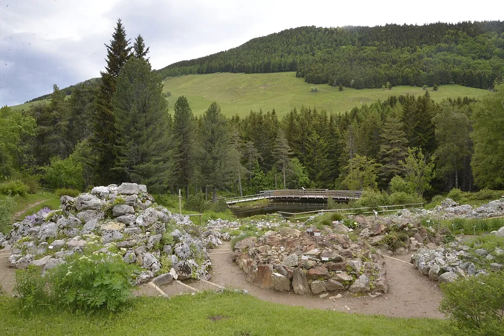 Giardino Botanico Alpino alle Viotte di Monte Bondone