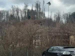 Burgstelle Aathalrain