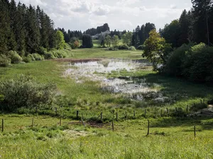 LSG Toteiskessel zwischen Burggen und Bernbeuren