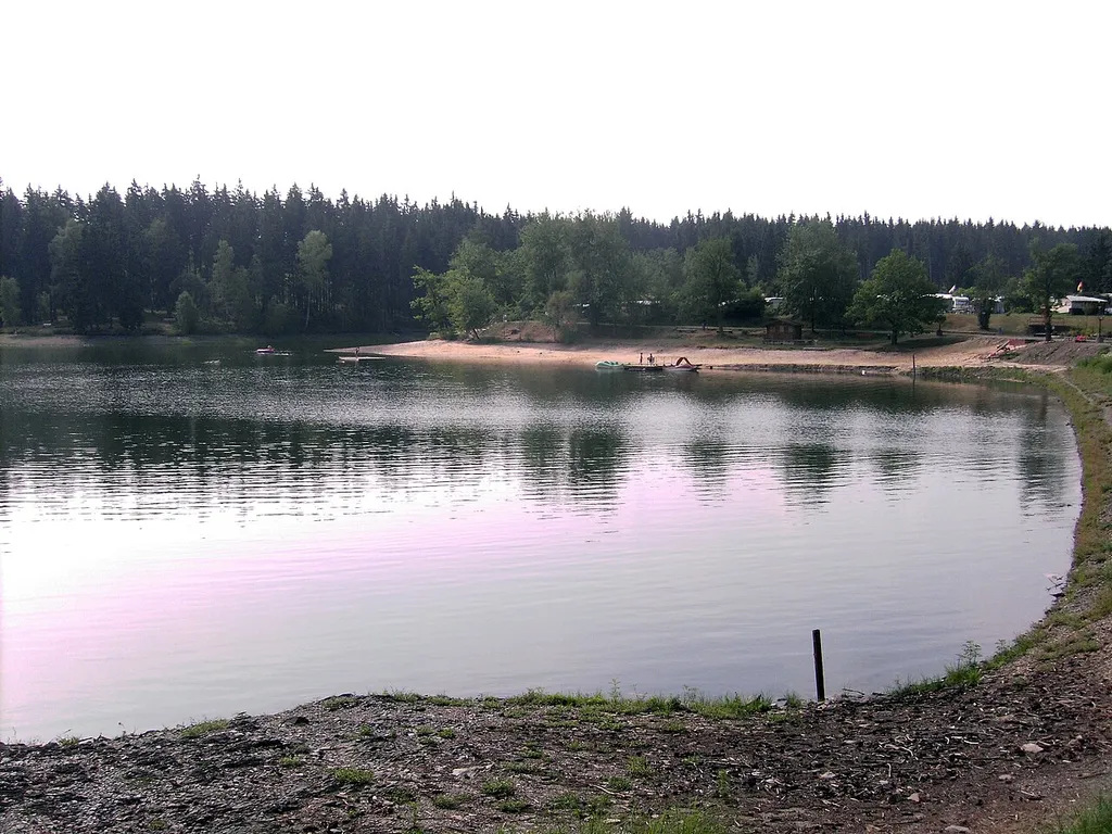 Birnbaumteich, Stausee bei Neudorf (Harz), Sachsen-Anhalt, Deutschland