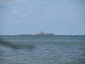 Île aux Fouquets