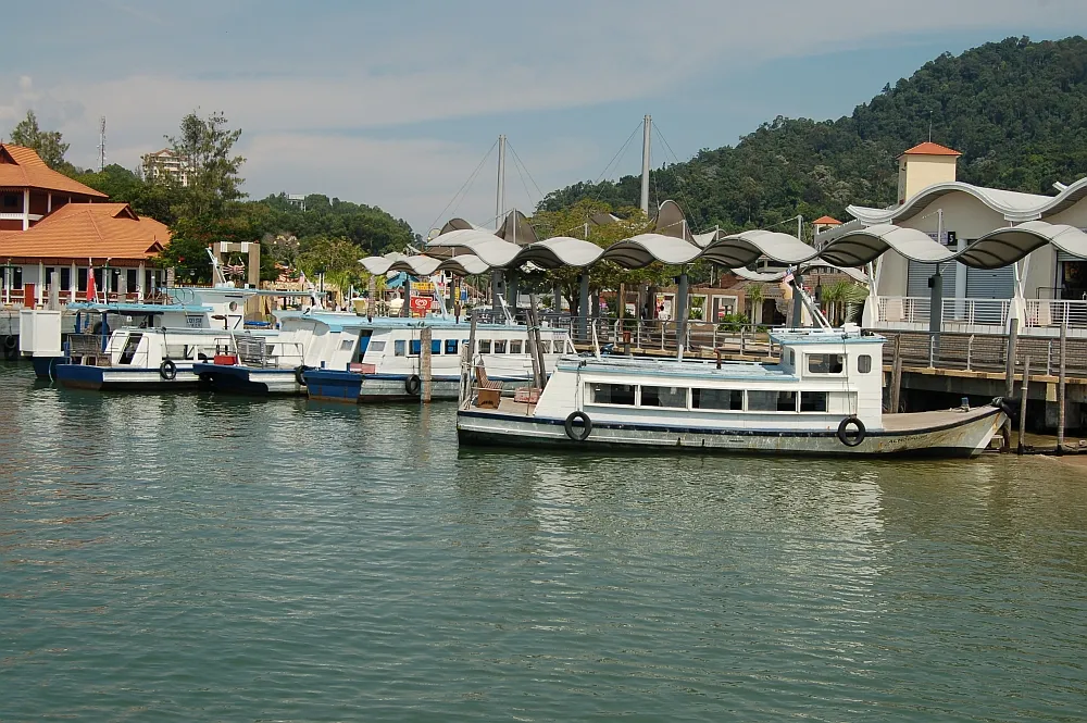 Lumut