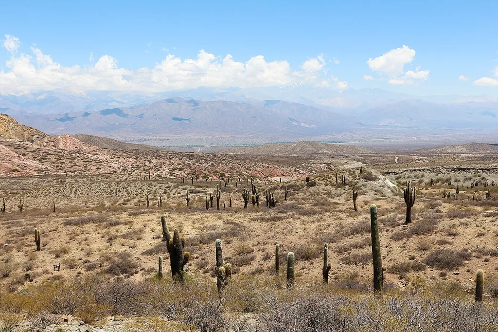 Los Cardones National Park