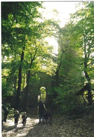 Burgruine Schauenforst bei Rödelwitz