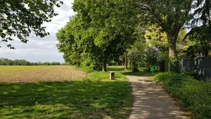 Belgium-Netherlands boundary stone no. 84b