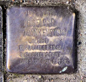 Stolperstein dedicated to Dr. Selmar Frankenstein