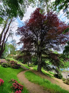 Gattersburg-Park