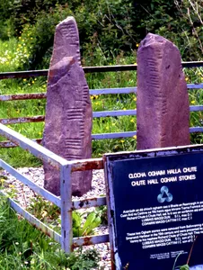 Oghamsteine von Coláiste Íde