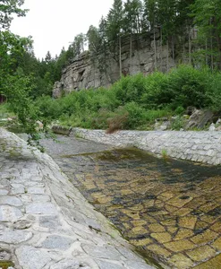 Sokolčí