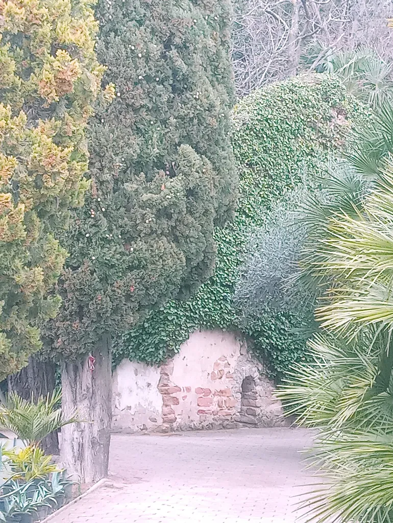 Ruins of former st. Anton of Padua Church, Seča/Sezza, Slovenia