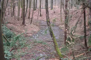 Röderburg