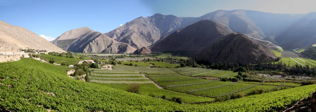 Pisco Elqui