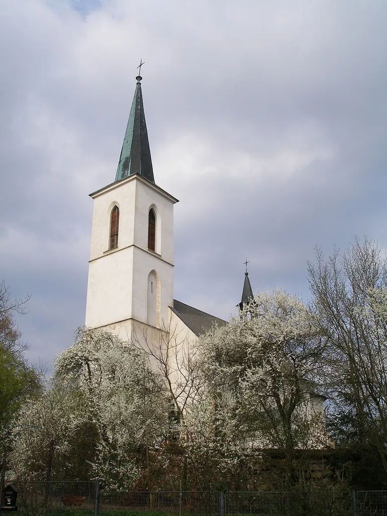 Church of the Assumption in Solec.