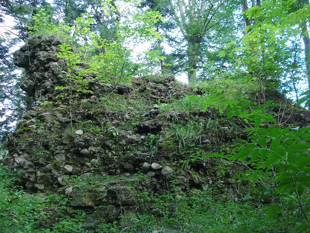 Burgruine Speckerturm