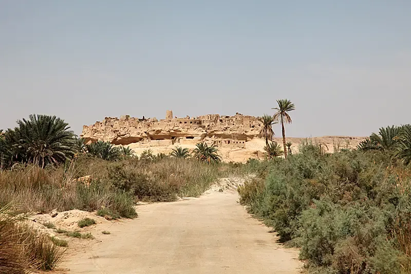 Qara Oasis