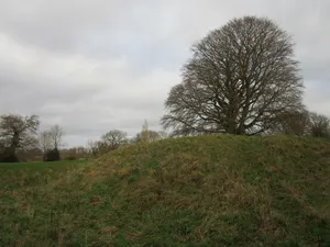 The Castle ringwork, Berry Hill