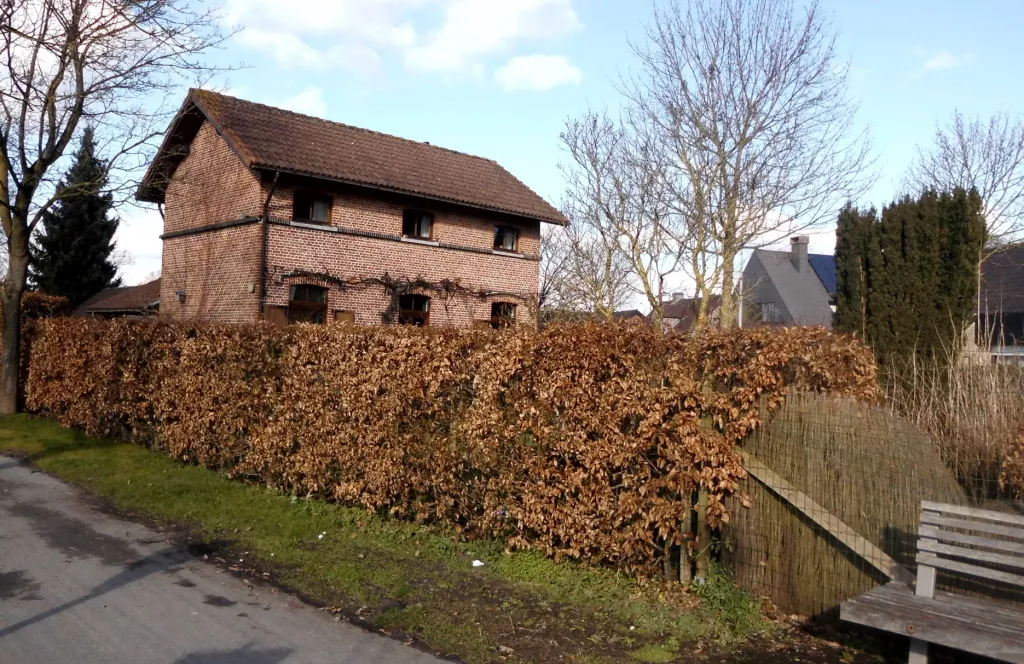 Bild von q2523101.webp