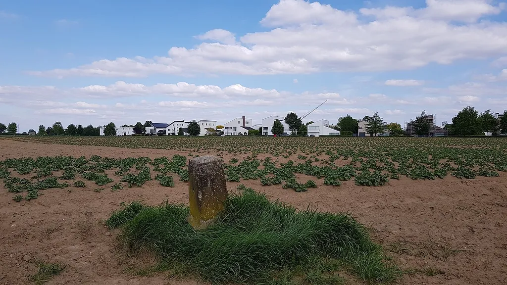 Belgium-Netherlands boundary stone no. 85b