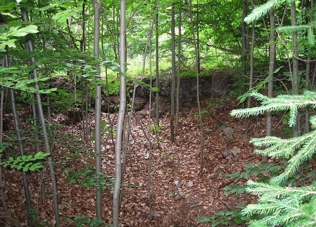 Mauerreste der ehemaligen Burg Brelen in Hemer.