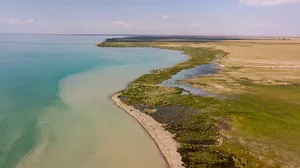 Lake Alakol