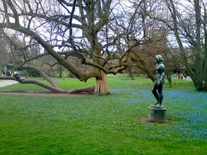 Arboretum Zürich
