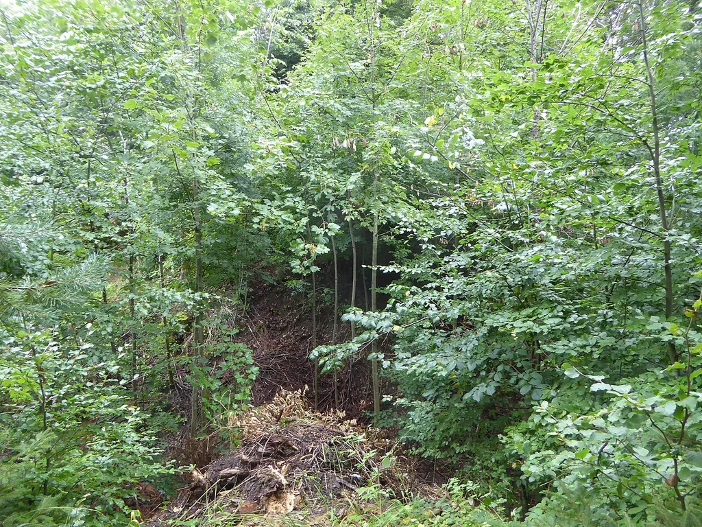 Burgstelle Chranzenberg surroundings