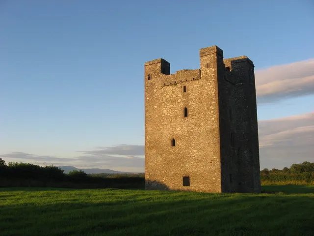 Roodstown Castle, Co. Louth Situated on a prominent ridge overlooking the valley of the River Dee, this well-preserved late-medieval tower house is in state care. Four storeys high, the ground floor is vaulted, the upper timber floors were carried on corbels.