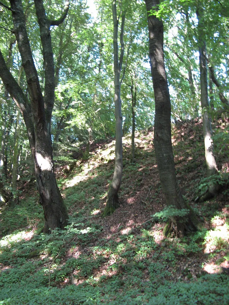 Rödchesmauer an der Dornburg, Hessen. Reste einer Ringmauer eines Keltischen Oppidum