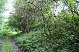 Burgwall Biesenthal