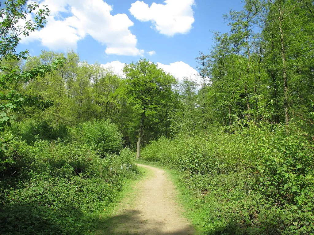 Neben den ausgebauten Wanderwegen gibt es auch viele Trampelpfade im Duisburger Stadtwald, die als beliebte „Abkürzung“ genutzt werden. Wanderweg beim Unteren Burgweg im Landschaftsschutzgebiet „Duisburger Stadtwald mit den Bereichen Witzberg, Monning, Wolfsberg, Am Stein, Eselsbruch, Nachtigallental, Uhlenhorst“