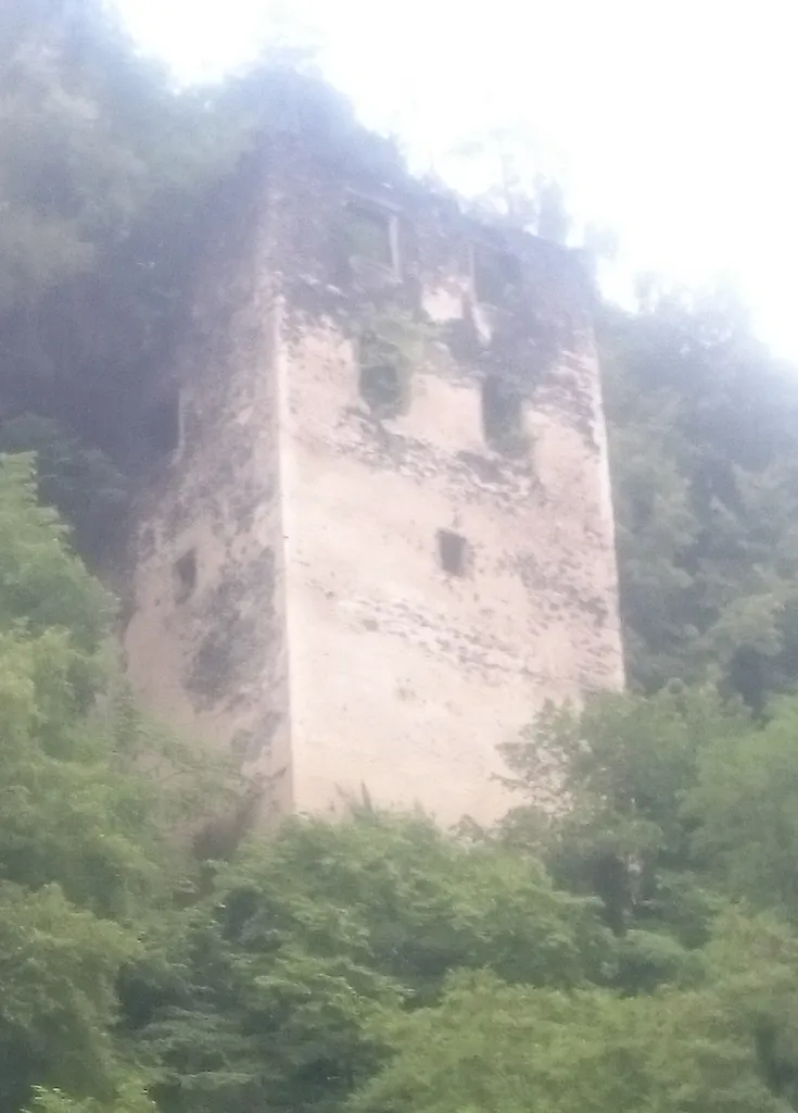 Ruins of the Puhštanj (a.k.a. Pukštajn, Puchenstein) castle. More info (in Slovenian only).