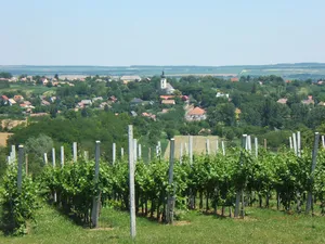 Saint Ladislaus Church, Karád