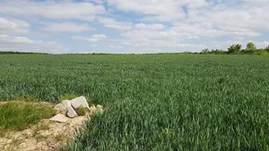 Belgium-Netherlands boundary stone no. 74a