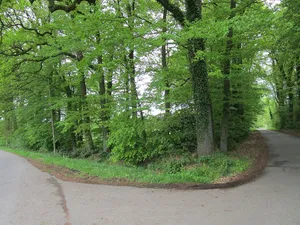 Teutoburger Wald von Tecklenburg bis Lengerich