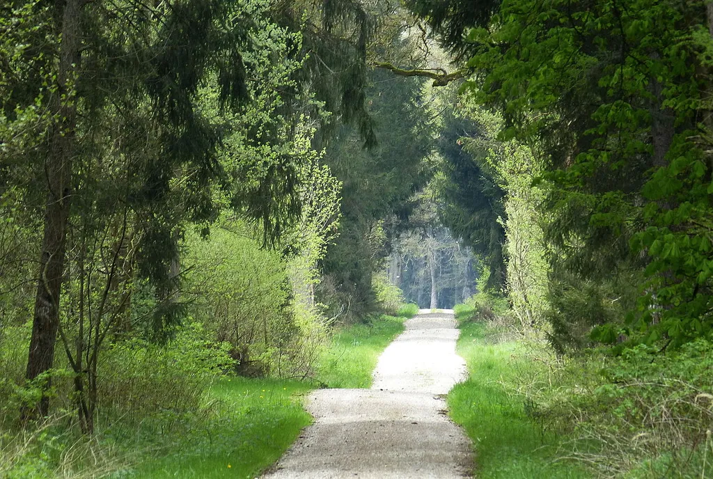 Augsburg - Westliche Wälder