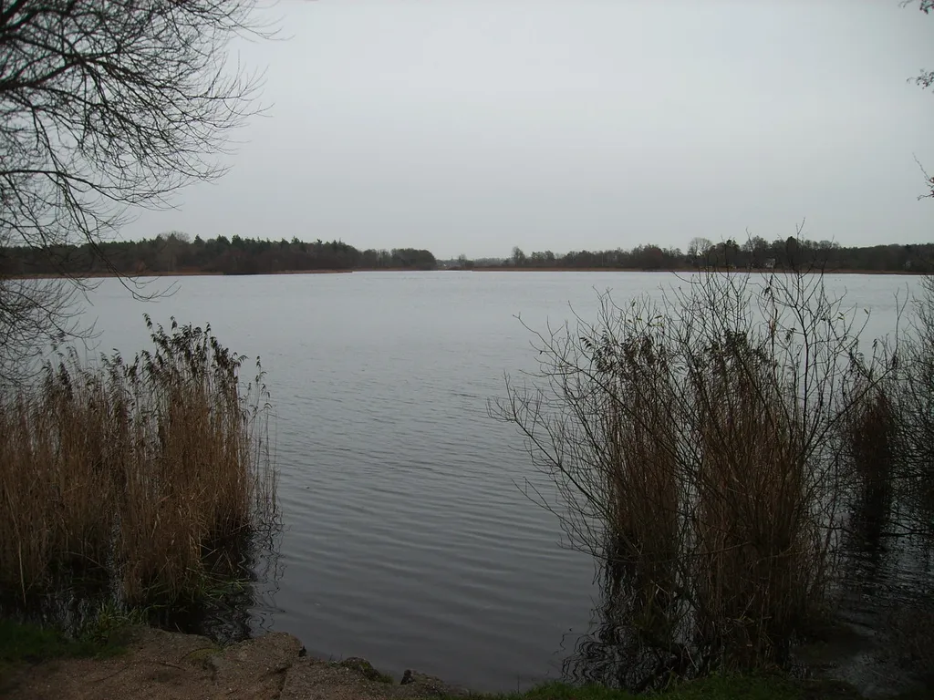 Armensee (Fockbek)