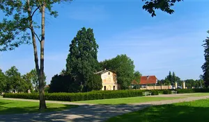 Naturdenkmal Pyramideneiche Volkspark, 50 m nördlich der Kirche beim Ehrenmal in Lauchhammer