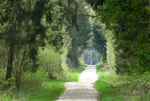 Augsburg - Westliche Wälder
