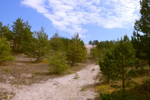 Gotska Sandön National Park