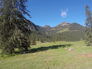 Schutz des Obersten Leitzachtales und seiner Umgebung bei Bayerischzell