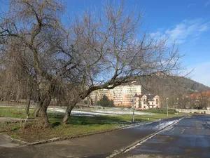 Magdalenerinnenkloster Brüx (Most)
