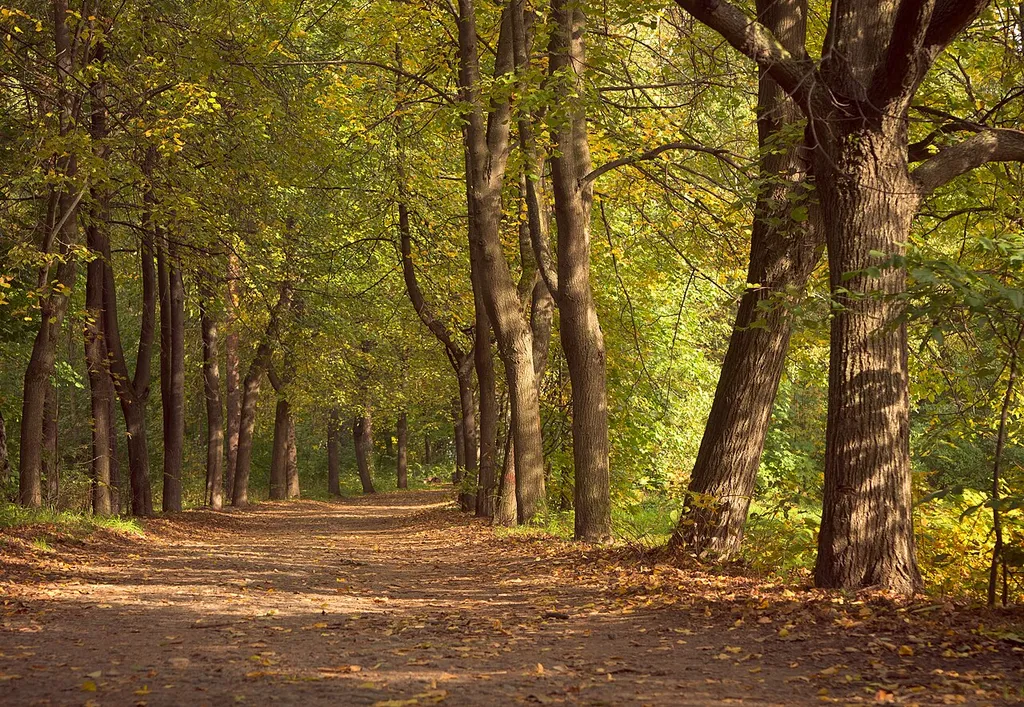 Park of Saint Petersburg Polytechnical University