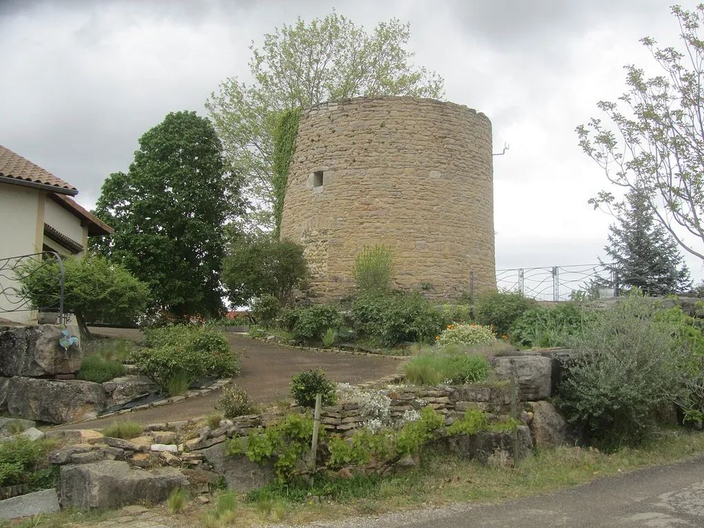 Château de Pusignan les ruines du château incendié pendant la Grande Peur de 1789