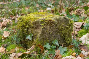 Grenzstein Fürther Stadtwald in Fürth