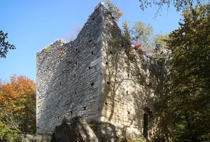 Castle Alt-Wildon